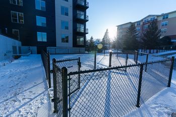 A snow-covered ground with a black fence and a building in the background.